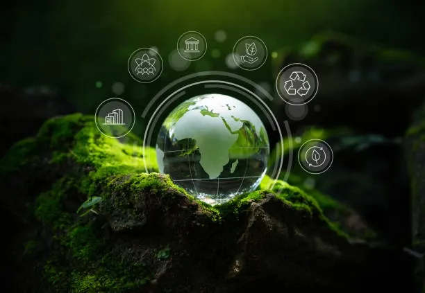 Sustainable Digital Leadership: Leading Organisations into the Low-Carbon Economy